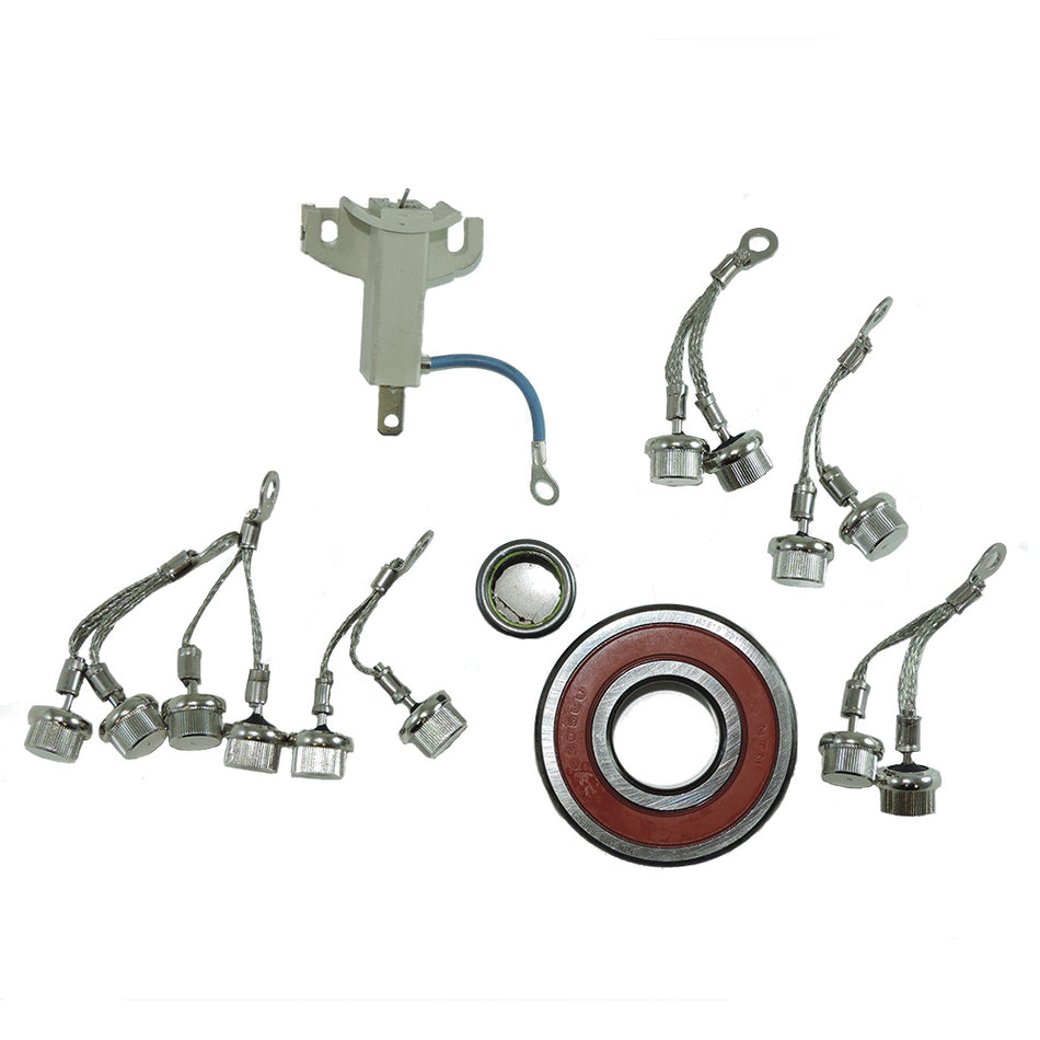 Kit de reparación Balmar Offshore Serie 94 12/24 V Incluye cojinetes, escobillas, diodo positivo/negativo [7094]